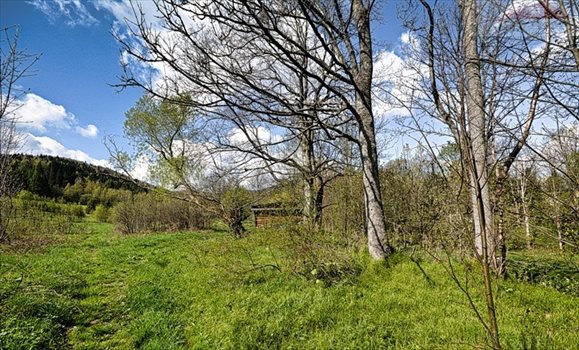 Działka inna na sprzedaż Przysłup 2 079m2 Foto 10