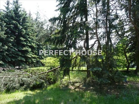 Działka budowlana na sprzedaż Puszczykowo, Puszczykówko 1 114m2 Foto 2