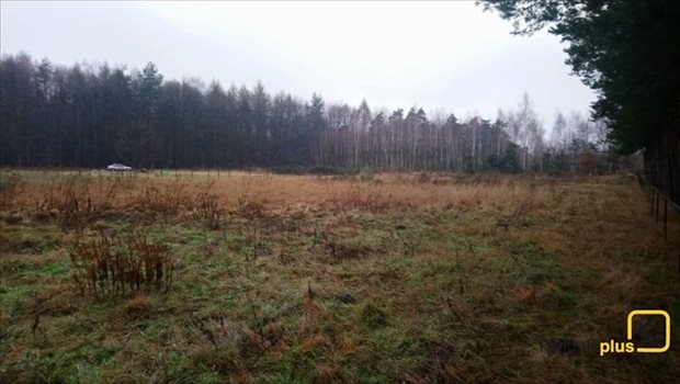 Działka budowlana na sprzedaż Orzesze, Woszczyce, Palowicka 900m2 Foto 10