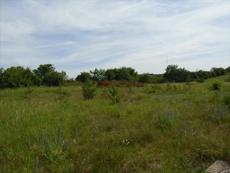 Działka budowlana na sprzedaż Chwaszczyno, Rzemieślników 1 040m2 Foto 5