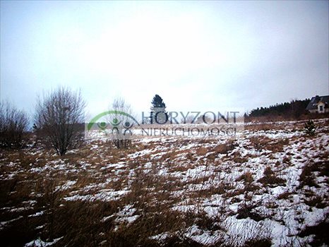 Działka budowlana na sprzedaż Bojano 1 000m2 Foto 1