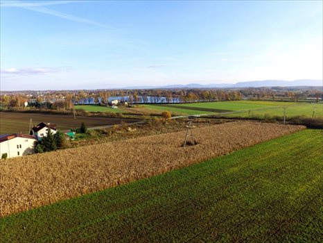 Działka budowlana na sprzedaż Dankowice, Spokojna 3 787m2 Foto 11