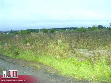 Działka budowlana na sprzedaż Mierzyn 1 350m2 Foto 3