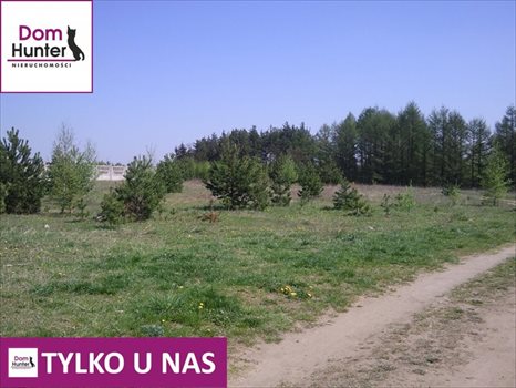 Działka budowlana na sprzedaż Gołubie 1 800m2 Foto 3
