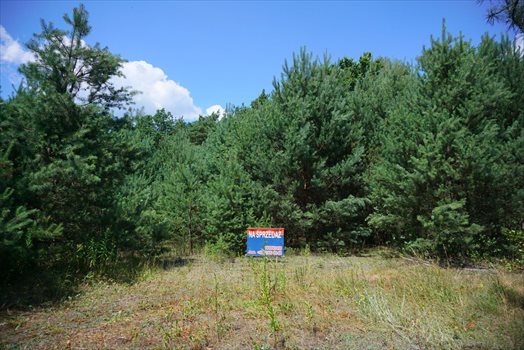 Działka budowlana na sprzedaż Osowiec 2 100m2 Foto 1