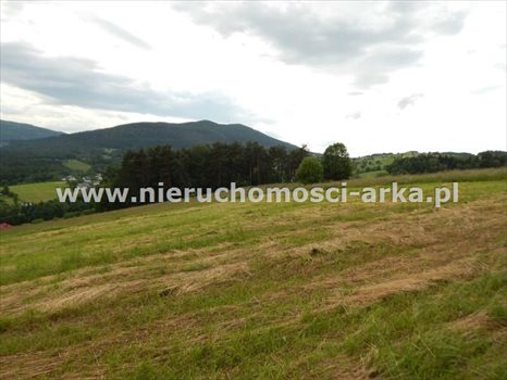 Działka budowlana na sprzedaż Dobra 3 100m2 Foto 2
