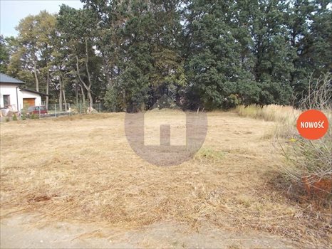 Działka budowlana na sprzedaż Jaszkowa Dolna 1 212m2 Foto 2