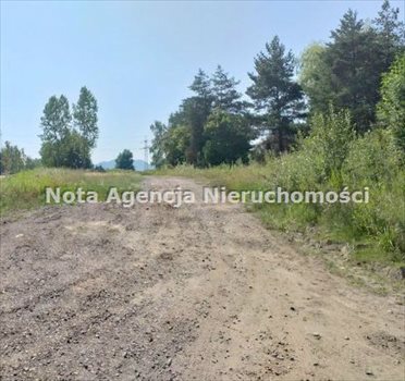 Działka inwestycyjna na sprzedaż Wałbrzych, Śródmieście 1 300m2 Foto 3