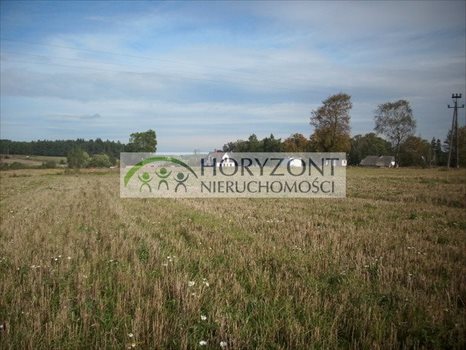 Działka inna pod dzierżawę Dobrzewino 2 300m2 Foto 5