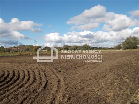 Działka rolna na sprzedaż Gdańsk, Lipce 44 000m2 Foto 6