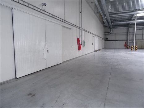 Lokal użytkowy na sprzedaż Sadowa, ul. Kolejowa 4 600m2 Foto 9