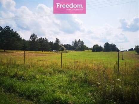 Działka budowlana na sprzedaż Orzechowo 25 000m2 Foto 8