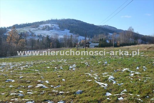 Działka budowlana na sprzedaż Wilczyce 2 300m2 Foto 5