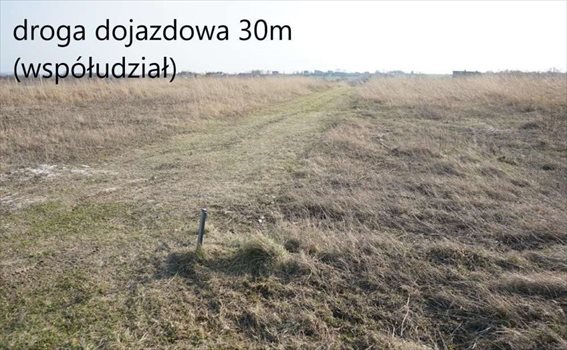 Działka budowlana na sprzedaż Żerkowice 998m2 Foto 4