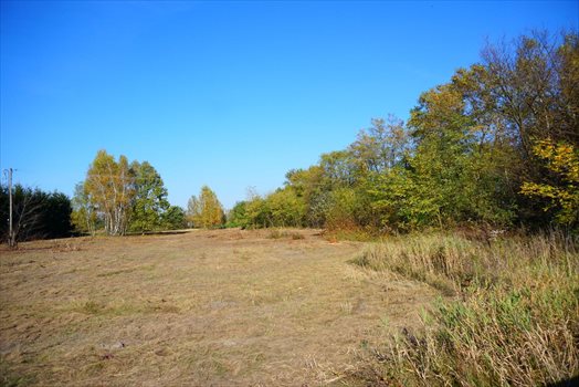 Działka budowlana na sprzedaż Jastrzębnik 1 500m2 Foto 1