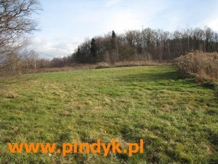 Działka budowlana na sprzedaż polska, Staniszów 1 724m2 Foto 6
