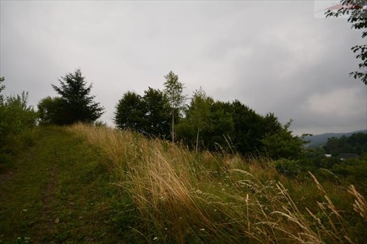 Działka rekreacyjna na sprzedaż Morochów 742m2 Foto 5