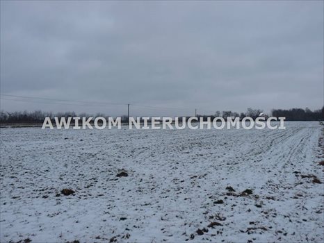 Działka budowlana na sprzedaż Skierniewice, Strobów 1 170m2 Foto 1