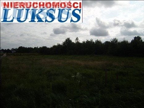 Działka budowlana pod dzierżawę Prażmów, Nowy Prażmów, Sporna 25 806m2 Foto 8
