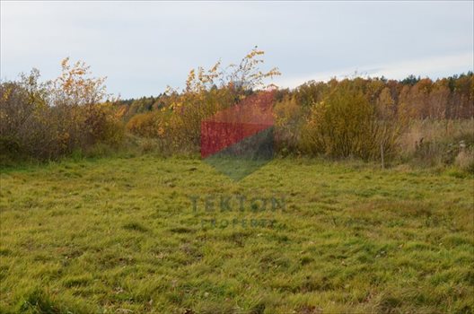 Działka rolna na sprzedaż Gdynia, Chwarzno-Wiczlino 8 057m2 Foto 2