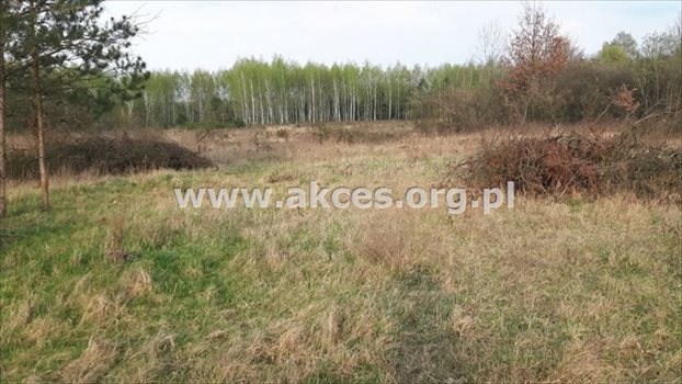 Działka budowlana na sprzedaż Stefanówka 6 231m2 Foto 3