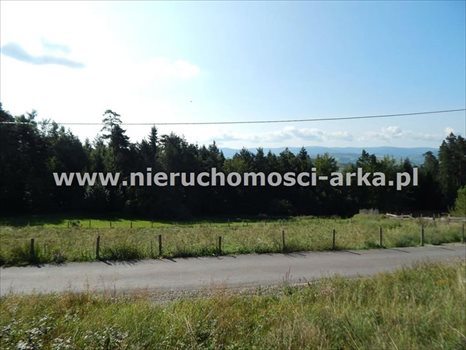 Działka budowlana na sprzedaż Mszana Dolna 1 300m2 Foto 4
