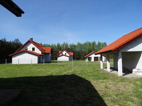 Działka inwestycyjna na sprzedaż Wrzesina 94 000m2 Foto 3