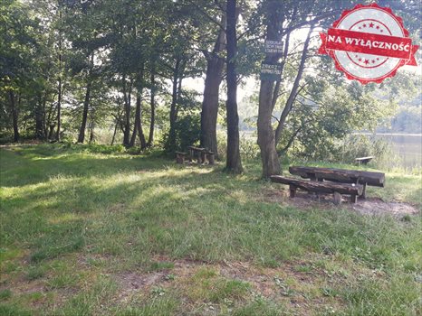 Działka rekreacyjna na sprzedaż Choszczno 11 600m2 Foto 1