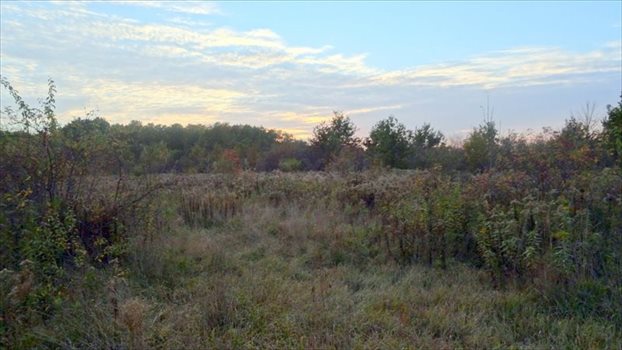 Działka inwestycyjna na sprzedaż Kajetany 14 916m2 Foto 6