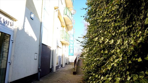 Lokal użytkowy na sprzedaż Poznań, Wilda, Dolna Wilda 48m2 Foto 3