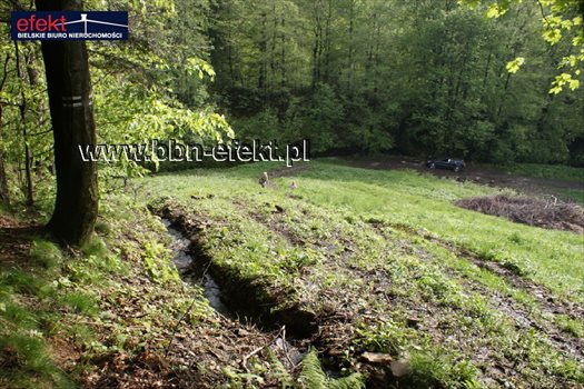 Działka rekreacyjna na sprzedaż Kozy 1 600m2 Foto 4