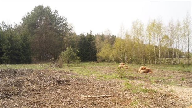 Dom na sprzedaż Tabory-Rzym 60m2 Foto 3
