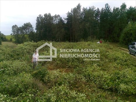 Działka rekreacyjna na sprzedaż Gołubie 1 090m2 Foto 7