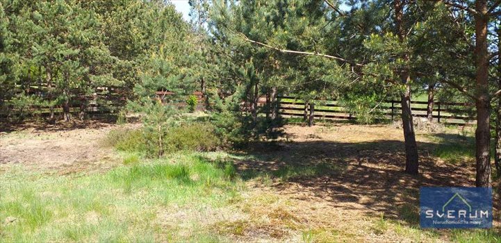 Działka rekreacyjna na sprzedaż Skowronów 854m2 Foto 13