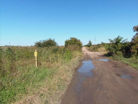 Działka inna na sprzedaż Nowy Dwór Gdański, Zagonowa 9 066m2 Foto 7