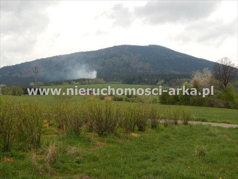 Działka budowlana na sprzedaż Jurków 1 600m2 Foto 4