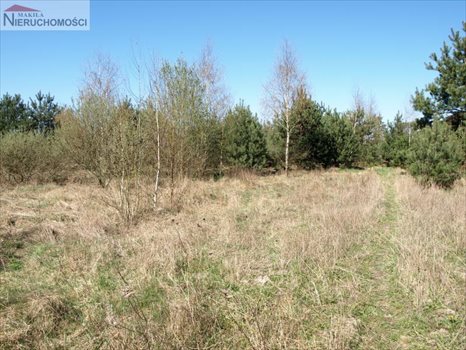 Działka inna na sprzedaż Starogard Gdański, Rokocin, x 980m2 Foto 5