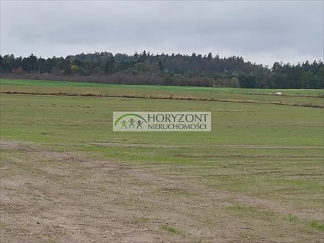 Działka budowlana na sprzedaż Małkowo 1 300m2 Foto 11