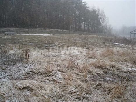 Działka inwestycyjna pod dzierżawę Młoszowa, Młoszowa 1 920m2 Foto 3