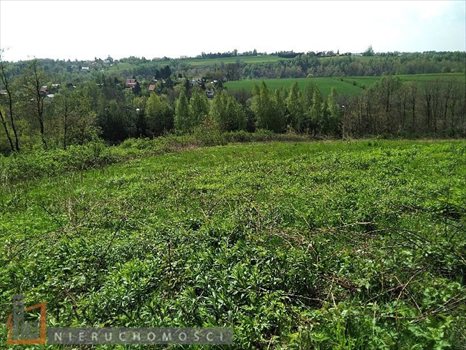Działka budowlana na sprzedaż Wierzchowie 1 750m2 Foto 3