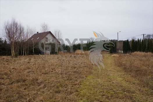 Działka inna na sprzedaż Wielichowo 5 600m2 Foto 4