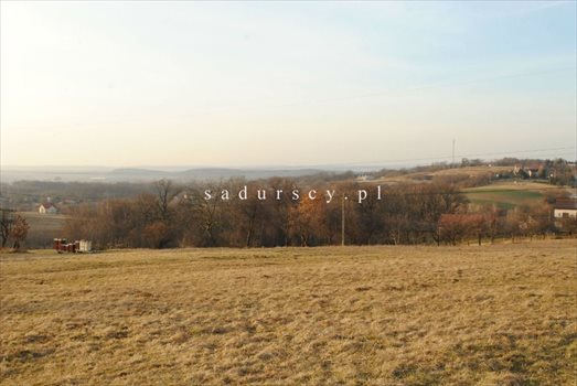 Działka inna na sprzedaż Gaj 8 000m2 Foto 9