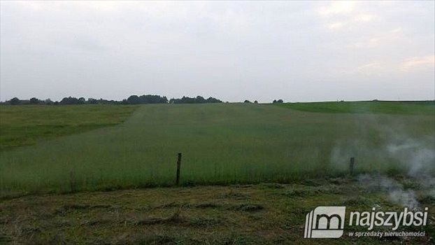 Dom na sprzedaż Gryfino, obrzeża 200m2 Foto 3