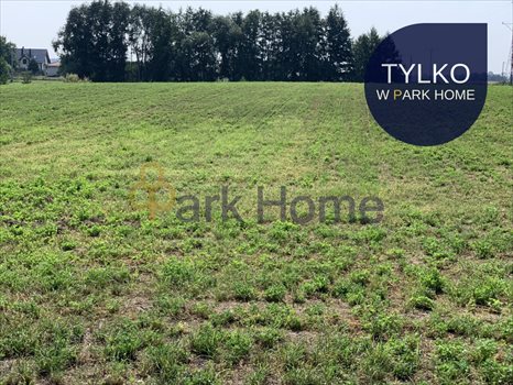 Działka budowlana na sprzedaż Klonówiec 12 802m2 Foto 1