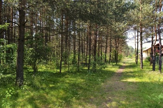 Działka rekreacyjna na sprzedaż Żarki-Letnisko 1 000m2 Foto 9