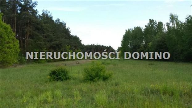 Działka inwestycyjna na sprzedaż Łódź, Polesie 20 277m2 Foto 2