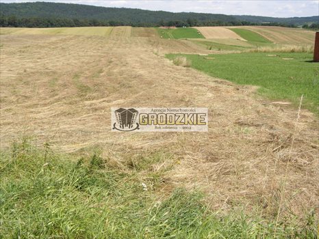 Działka budowlana na sprzedaż Tarnawce 5 000m2 Foto 1