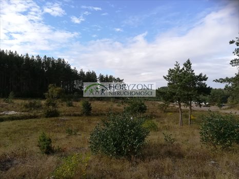 Działka budowlana na sprzedaż Bojano 3 932m2 Foto 5