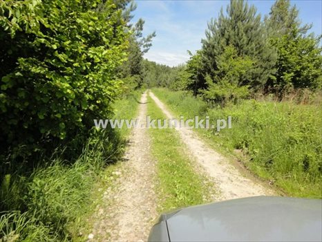 Działka inna na sprzedaż Łoś, Polna 1 200m2 Foto 8