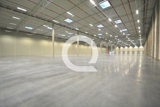 Lokal użytkowy na wynajem Gdańsk, Stogi 3 550m2 Foto 6
